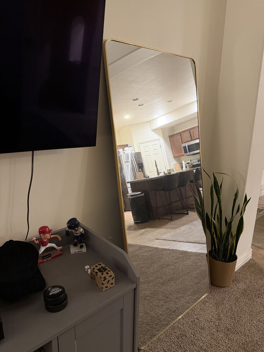 Heavy Gold Trim Stainless Steel Mirror