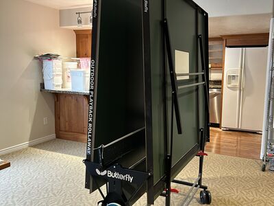 Butterfly Indoor/Outdoor Ping Pong Table