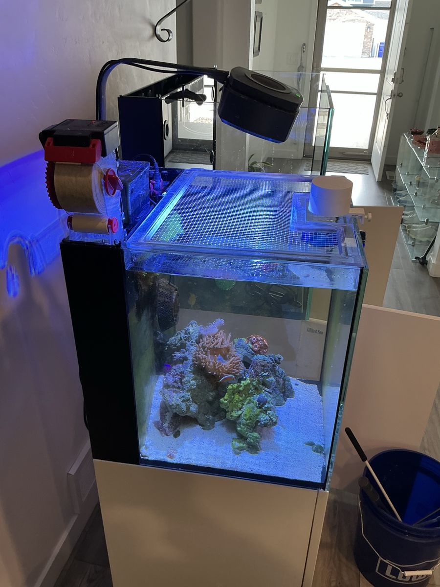 Red Sea MAX NANO Reef Aquarium Setup – Complete Equipment Package