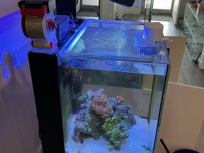 Red Sea MAX NANO Reef Aquarium Setup – Complete Equipment Package