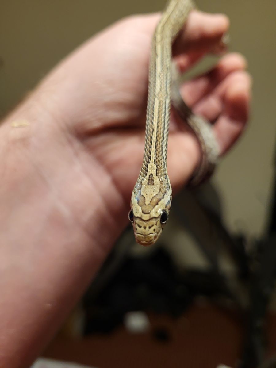 Main image 3