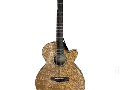 MITCHELL GUITARS E/A GUITAR MX40 E75010620