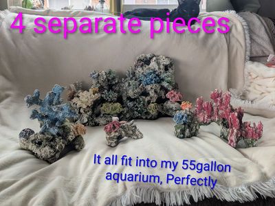 Aquarium Decorations