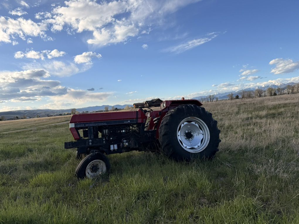 Case international 995