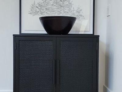 Hopper Studio Delancey 2 Door Rattan Accent Cabinet – LIKE NEW