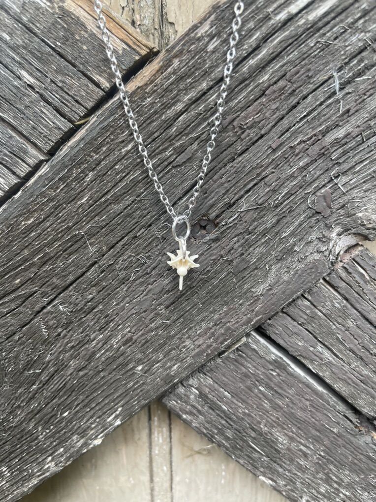 Small And Large Real Snake Vertebrae Necklaces