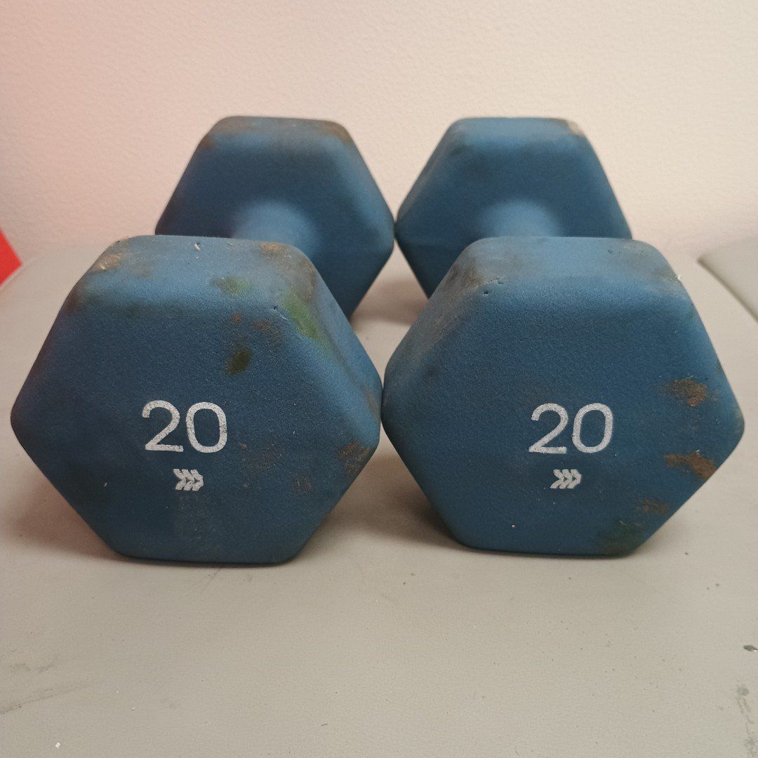 lightly used 20lb dumbbell pair