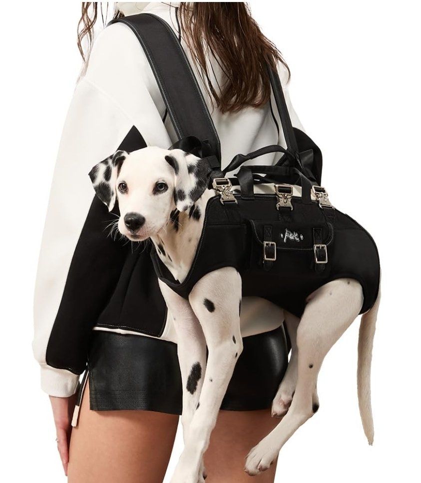Dog Backpack Carrier - Spine-Friendly, 8-18 lbs