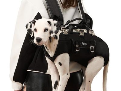 Dog Backpack Carrier - Spine-Friendly, 8-18 lbs