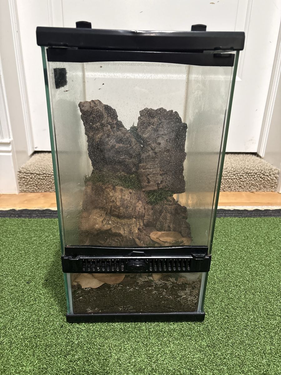 Main image 4
