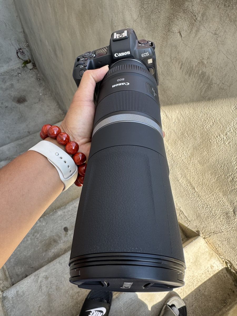 Canon R+  RF 800mm