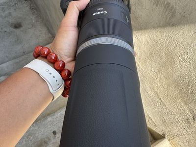 Canon R+ RF 800mm