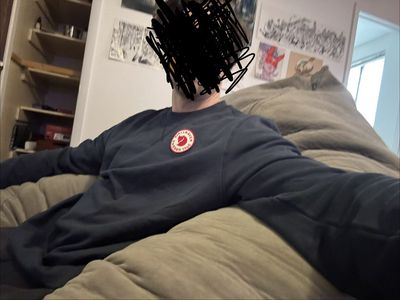 Lovesac pillowsac bag chair