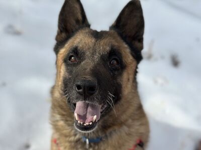 Hello my name is Wolfgang