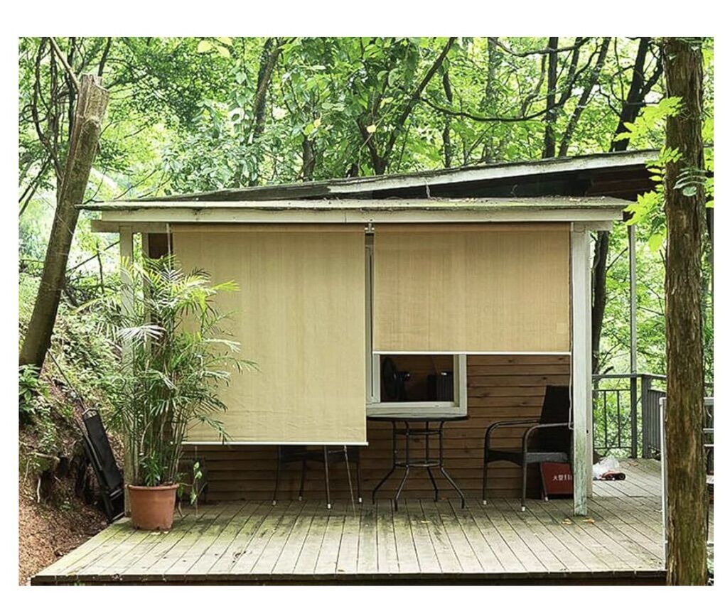 Cicada Speech 7.5 Ft X 6ft exterior roller shade