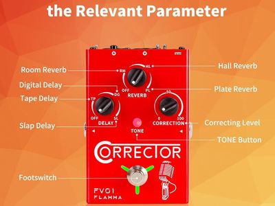 Vocal Effects Pedal (Reverb, Delay, Pitch Correction) 2 available