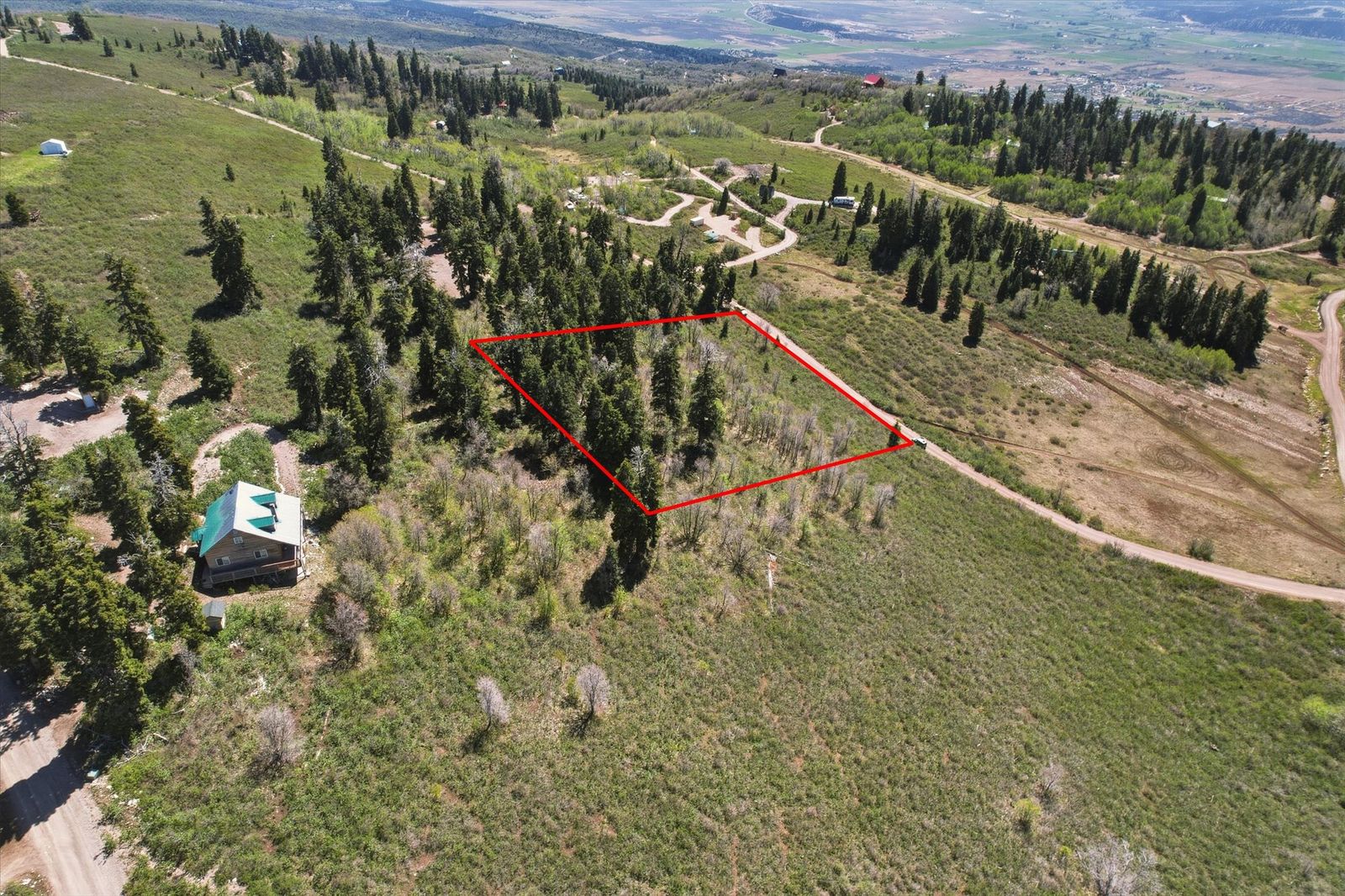 Main image 5