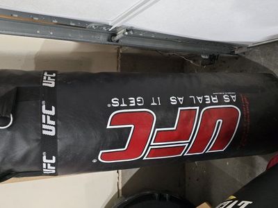 Everlast Heavy Bag Stand + UFC Punching Bag