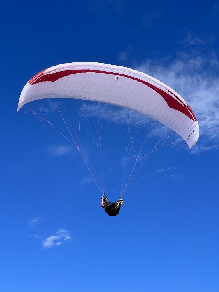 Gin Calypso 22 M Wing