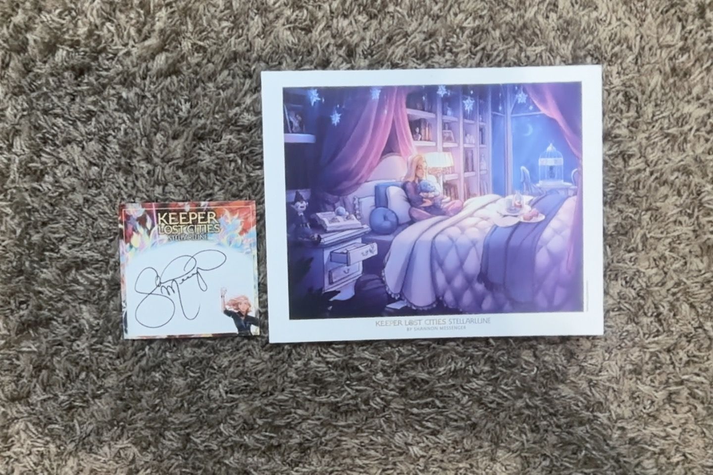 Author of KOTLC and Skyfall - Shannon messenger SIGNATURE!!! (and poster)