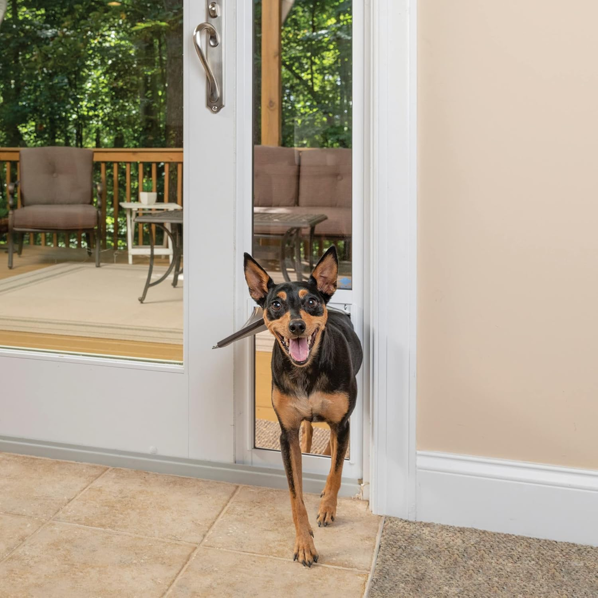 PetSafe Sliding Glass Pet Door (Medium)