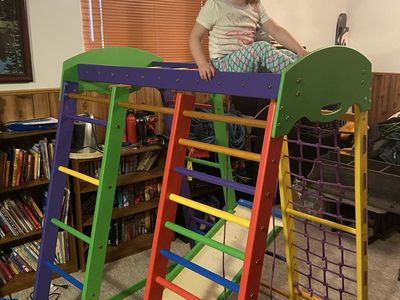 Colorful Kids Indoor Wooden Climbing Playset Slide Ladder Gym