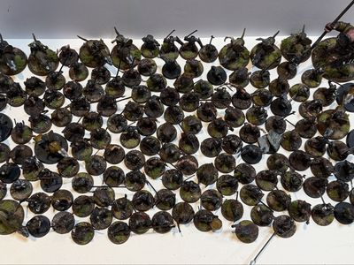 Warhammer Fantacy Army Lot - 140+ Mini Pieces