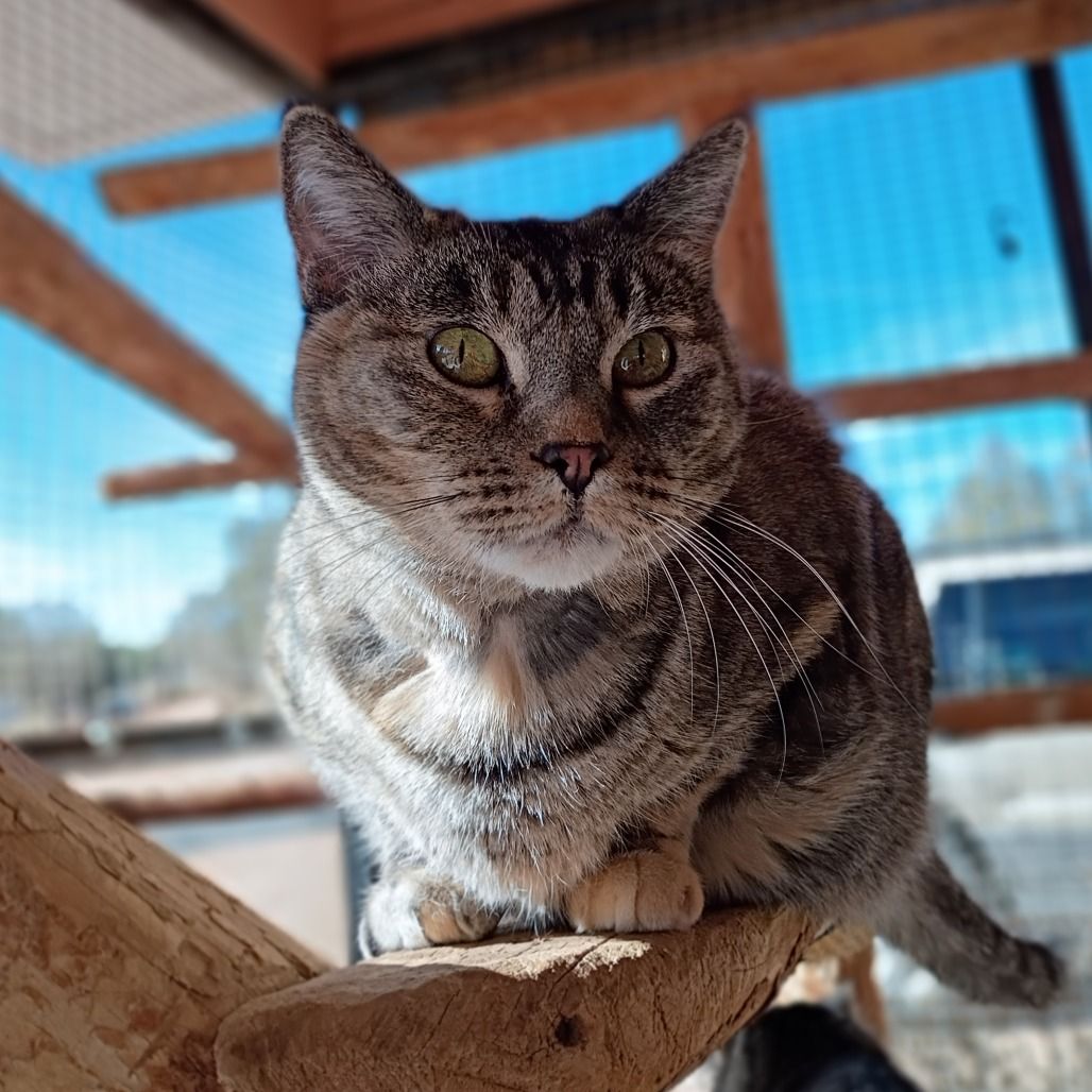 Hello my name is Padme