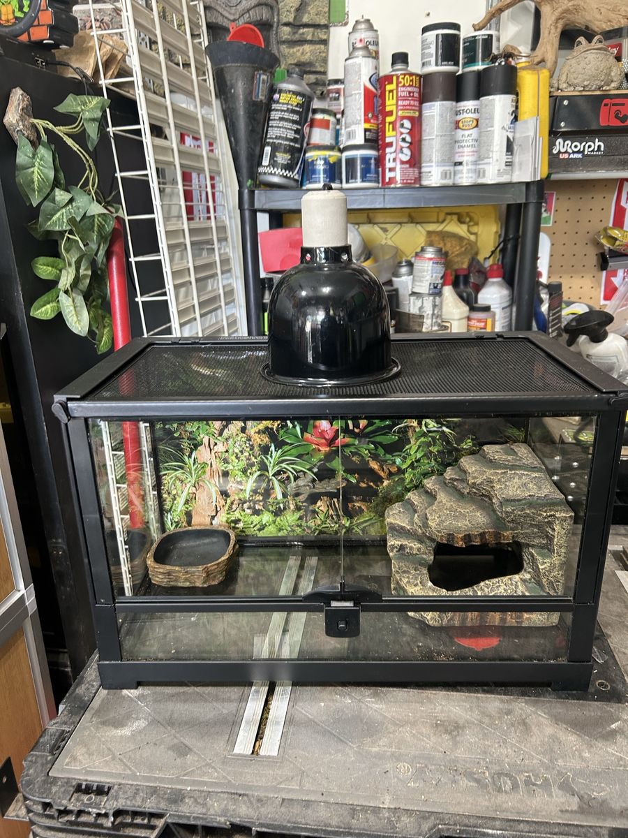 Reptile tank