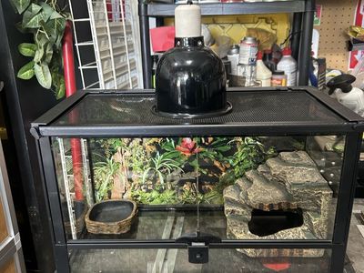Reptile tank