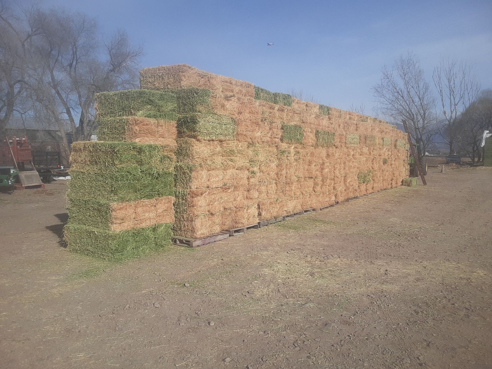 2nd Crop Alfalfa Hay