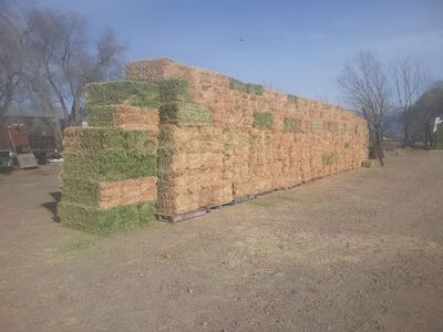 2nd Crop Alfalfa Hay