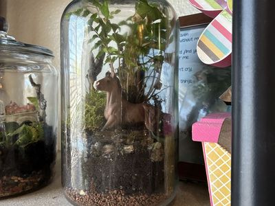 Horsing Around Terrarium