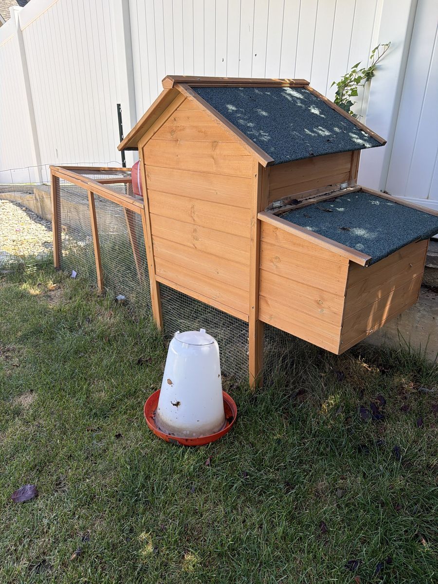 Chicken Coop + Feeder SetUp