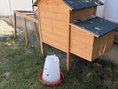 Chicken Coop + Feeder SetUp