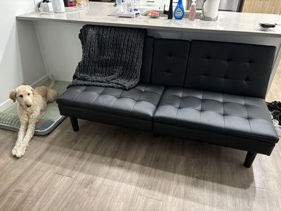 Black Leather Futon