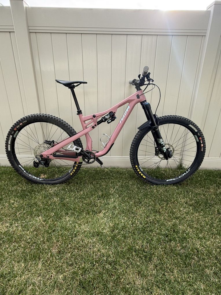 Ari Delano Peak Mountain Bike- M