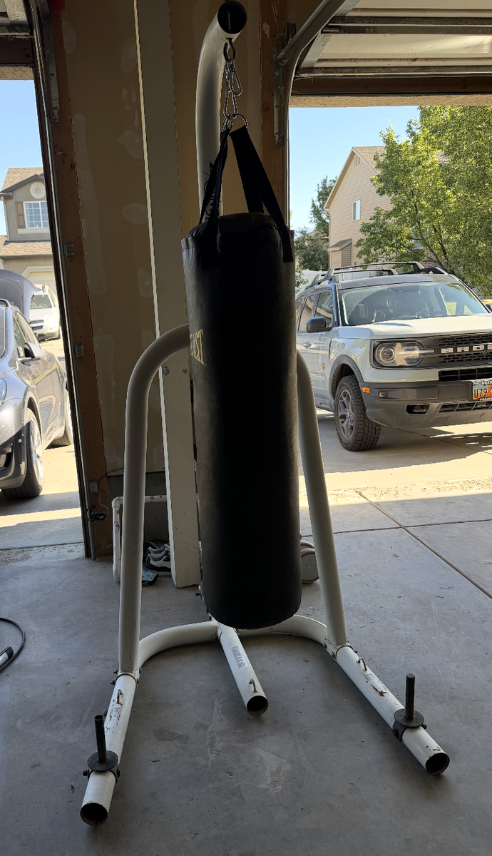 Heavy duty Everlast punching bag and stand