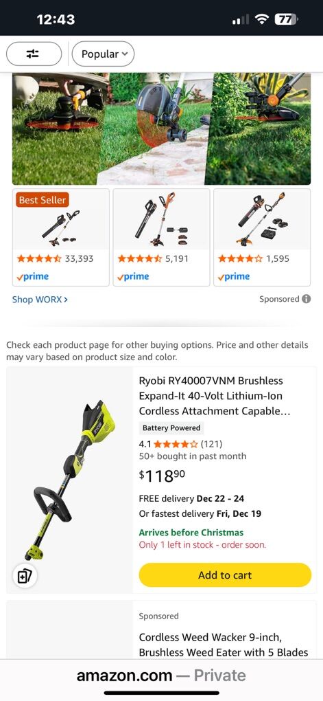 RYOBI Weed Wacker & Grass Trimmer $75 OBO
