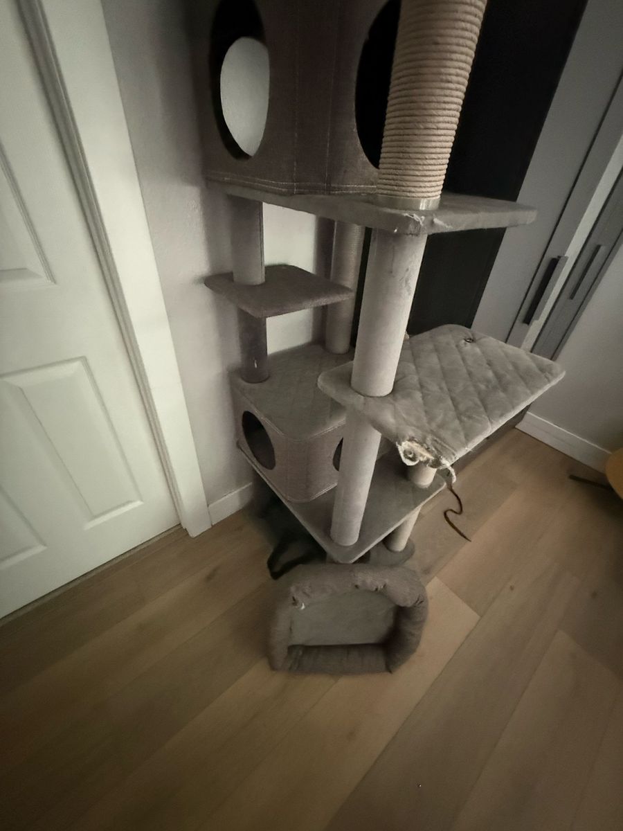 Main image 6