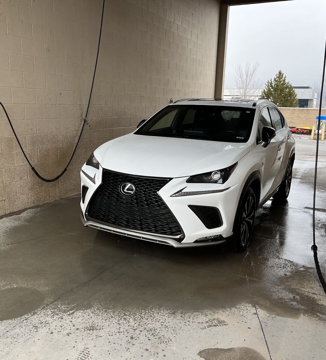2018 Lexus NX 300 F SPORT