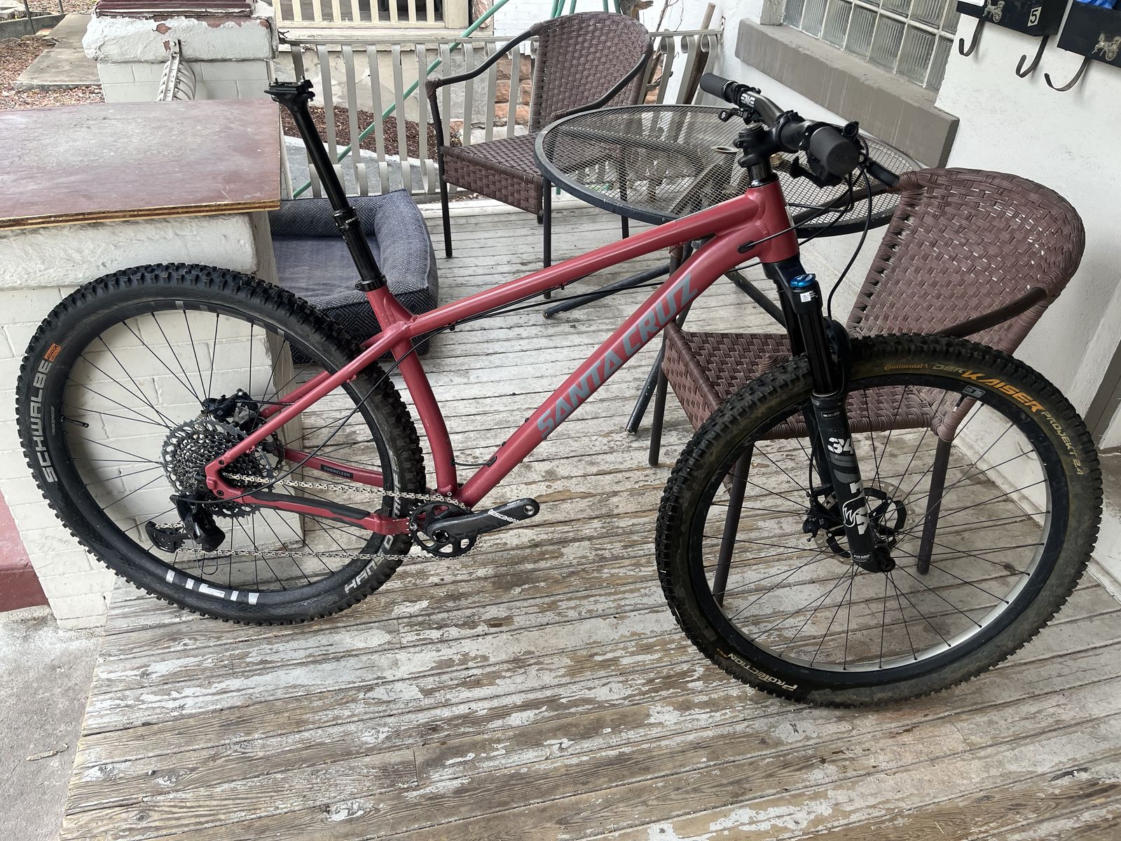 Large Santa Cruz Chameleon