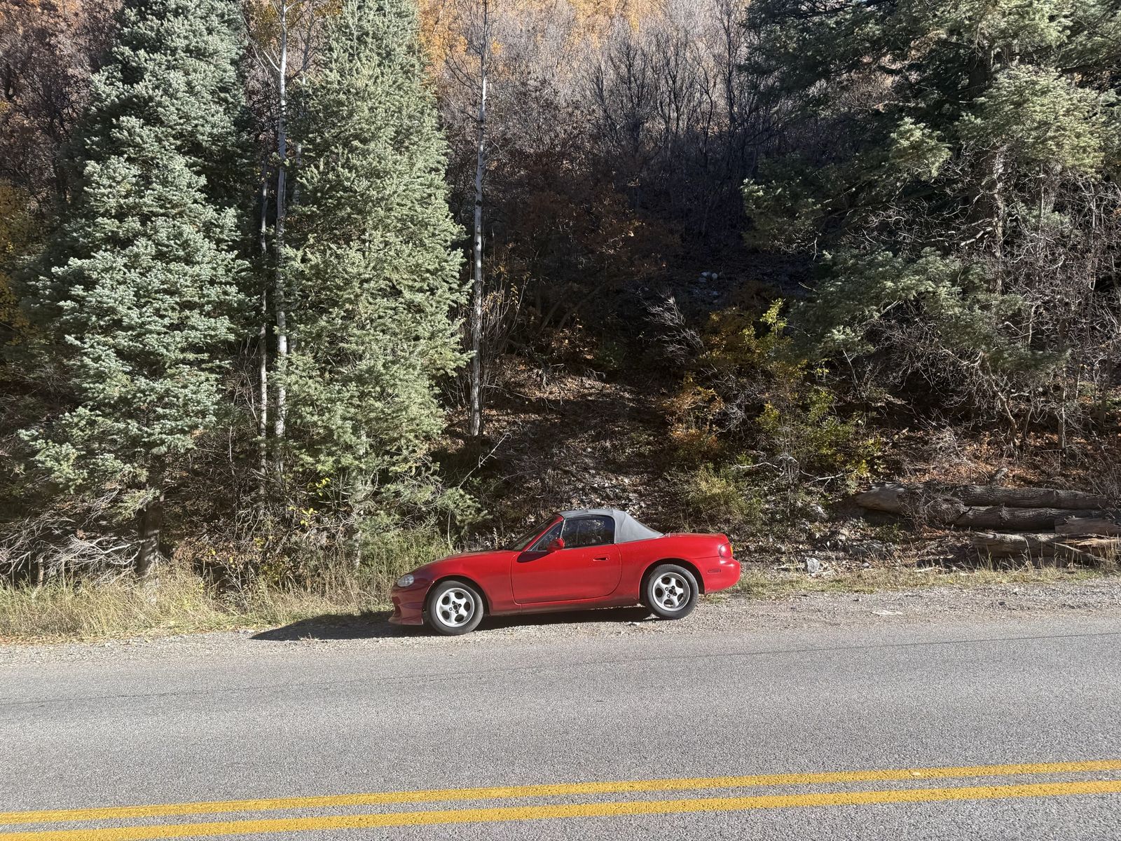 Main image 5