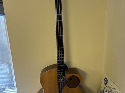 Taylor AB1, acoustic/elec bass