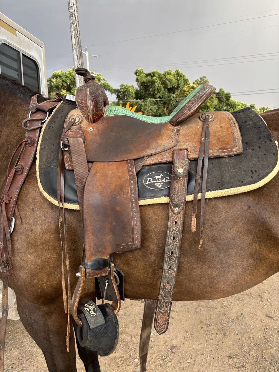 14.5 Shiloh finalist