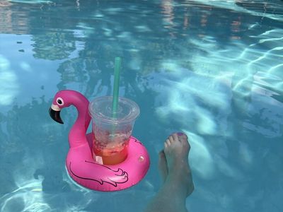 Aiper EcoSurfer S2 solar pool skimmer