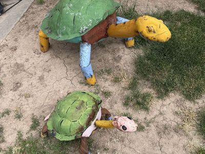 Metal yard turtles