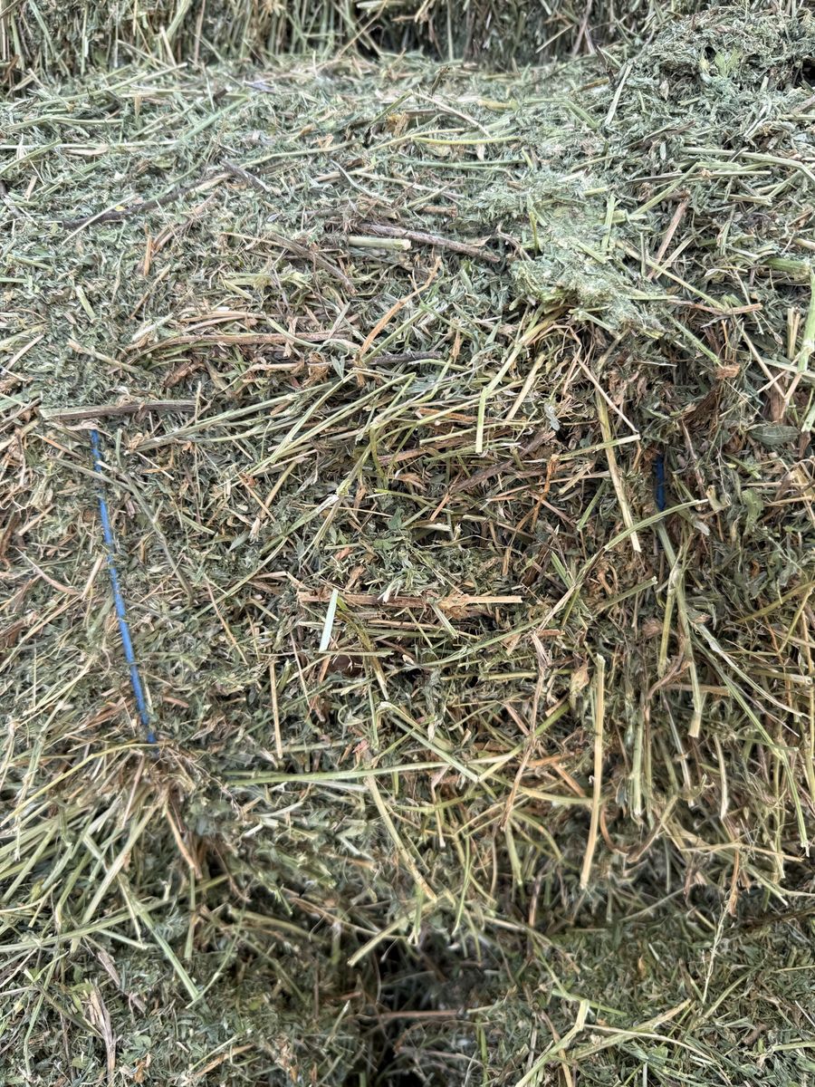 Main image 3