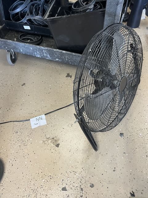 Fan