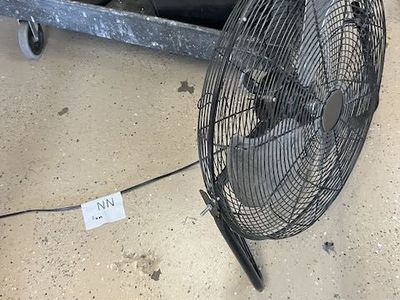 Fan